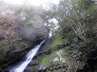 三好観光