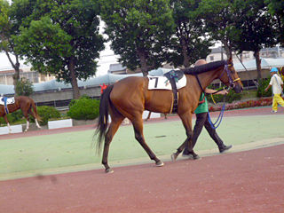 「園田競馬場」