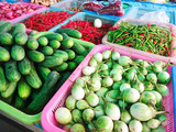 「Maejo Market」