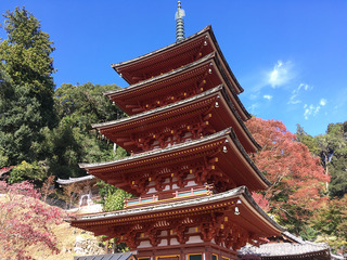 奈良旅