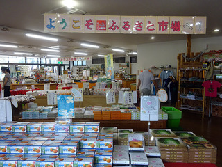 屋久島へ