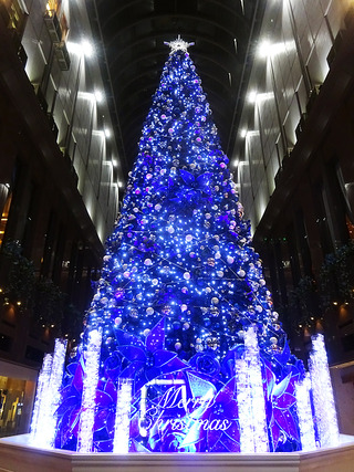 ������ϰ��