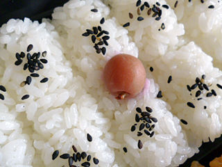 10品目の彩り幕の内弁当