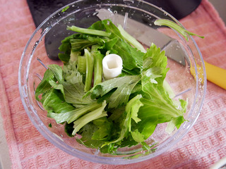 vegecutter14