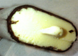 chocobar2