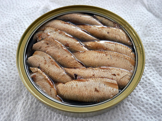 sardine8