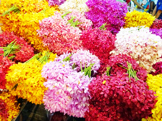「Pak Klong Market」