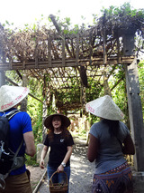 「Asia Scenic Thai Cooking School」
