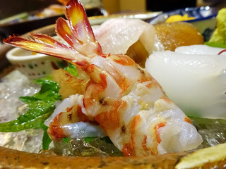 「北新地 湯木本店」