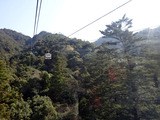 宮島散策