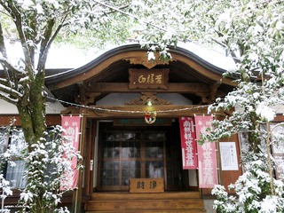ohita_kanko12