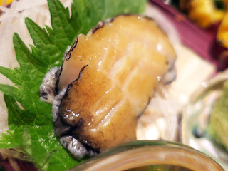 kaiya12