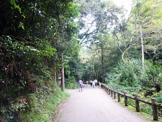 箕面の滝