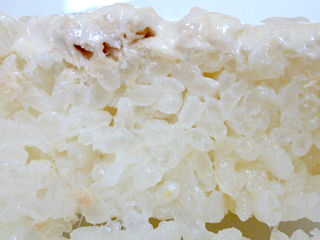 ツナコーンマヨ