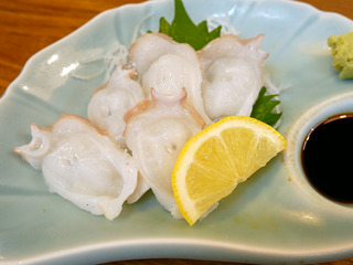 sakedaimaru17