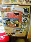 鳥取旅