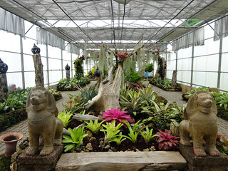「QUEEN SIRIKIT BOTANIC GARDEN」