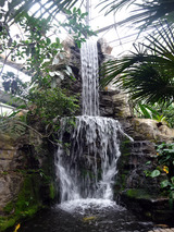 「QUEEN SIRIKIT BOTANIC GARDEN」