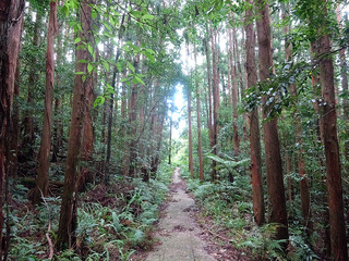 屋久島散策