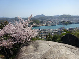 広島プチトリップ
