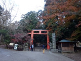 奈良散歩