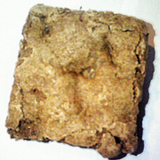 ����ꥫ�󥱡������å���2