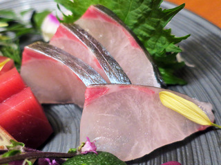yoshikawa13