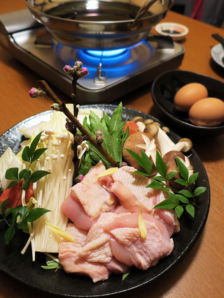 yoshikawa20