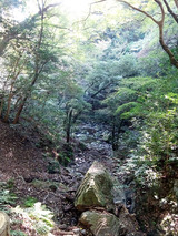 箕面の滝散策