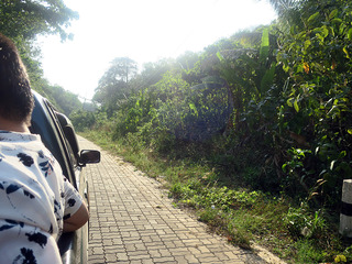 andalay5