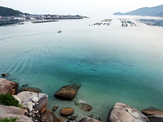 高知旅