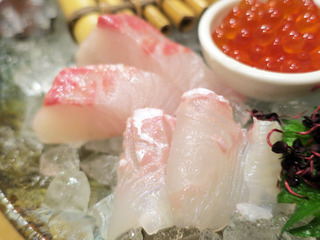uchoten20