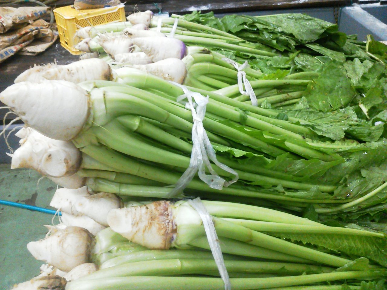 野沢菜の種 品種の違いと野沢菜の蕪 野沢菜漬とみき漬物のあるじのブログ