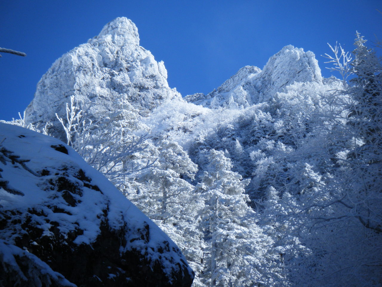 白と青だけの世界 八ヶ岳横岳西壁のブルーアイスへの単独行 Tomiura414のblog ソロ登山家フム君の海と山の別荘日記