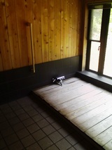 �ҥΥ���Ϥ��