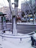 76aa6280.jpg