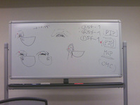 ���˥������å�2010ǯ6��