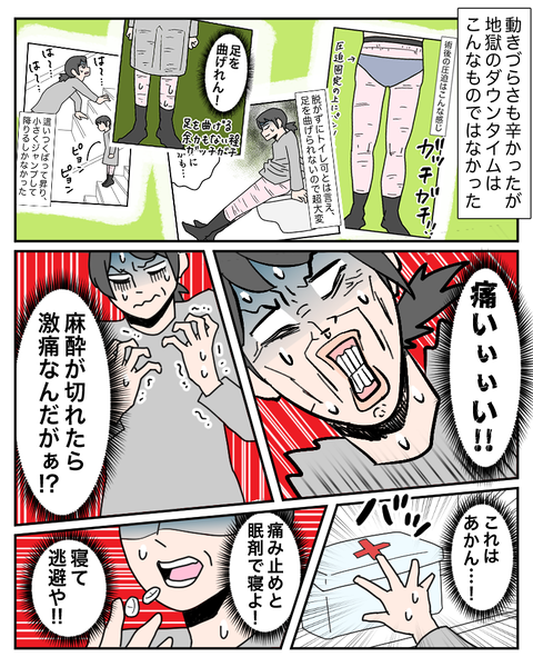 整形16
