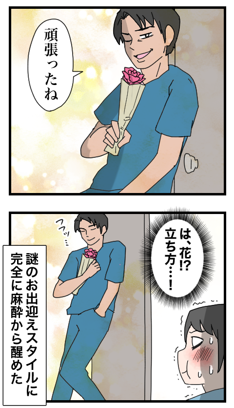 整形14