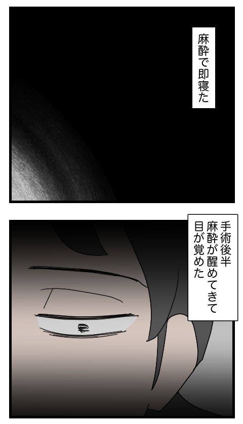 整形12-2