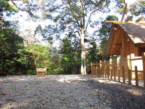 IMG_8268