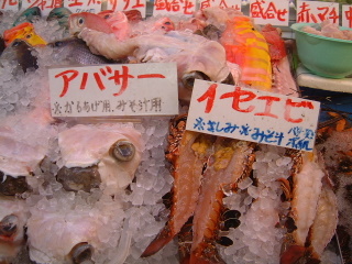 1a024ba6.jpg