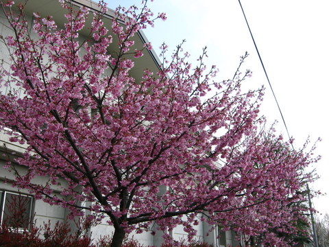 2011_0330_094241AA