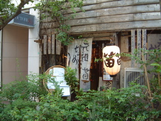 3909336a.jpg