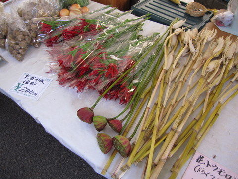 2011_1010_100013AA
