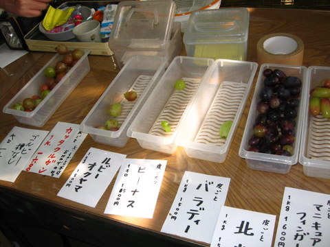 5e734445.jpg