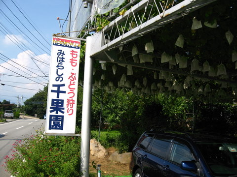 64a64cda.jpg