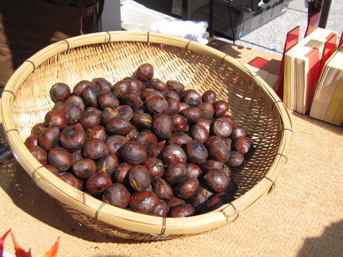 2011_1009_112824AA