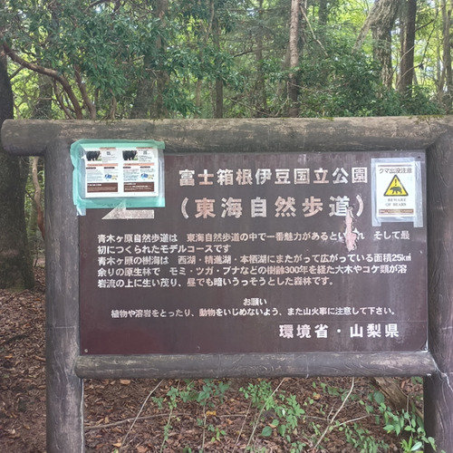 IMG_20260801_133029548_HDR