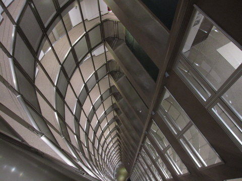 IMG_8858